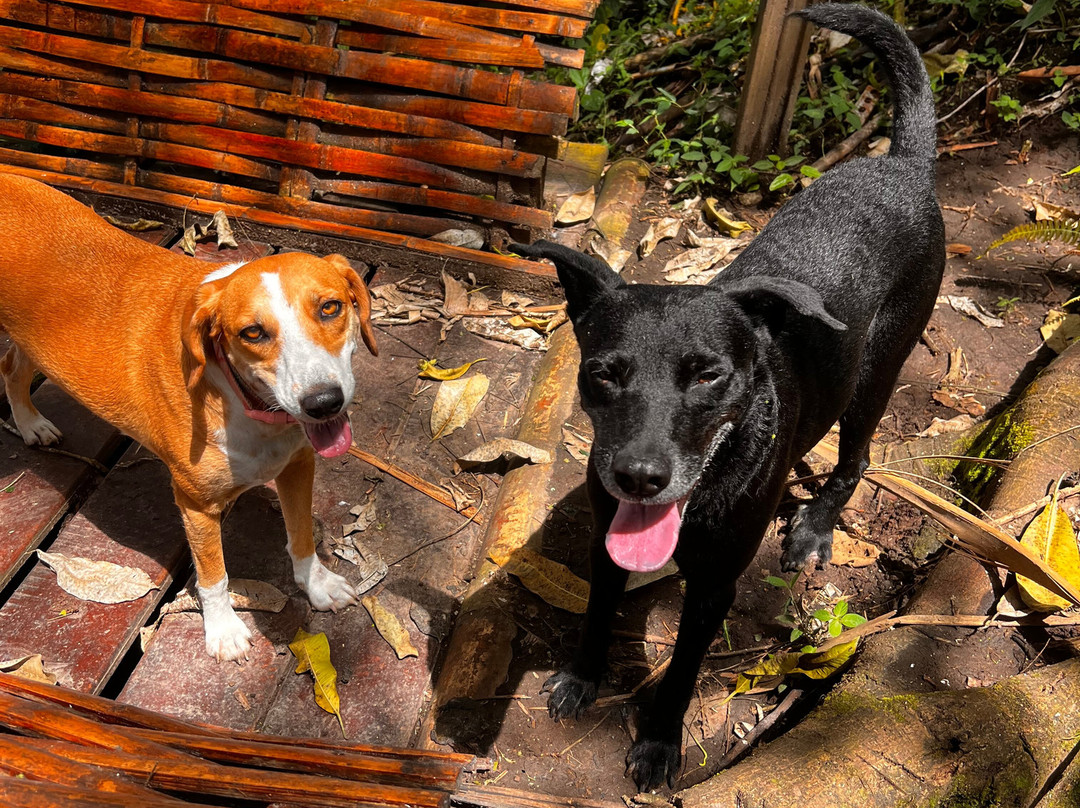 Hotel Spa La Colina主图