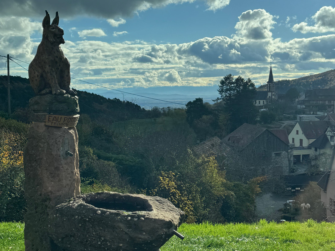 3 Borders Cie-佛莱堡必去景点