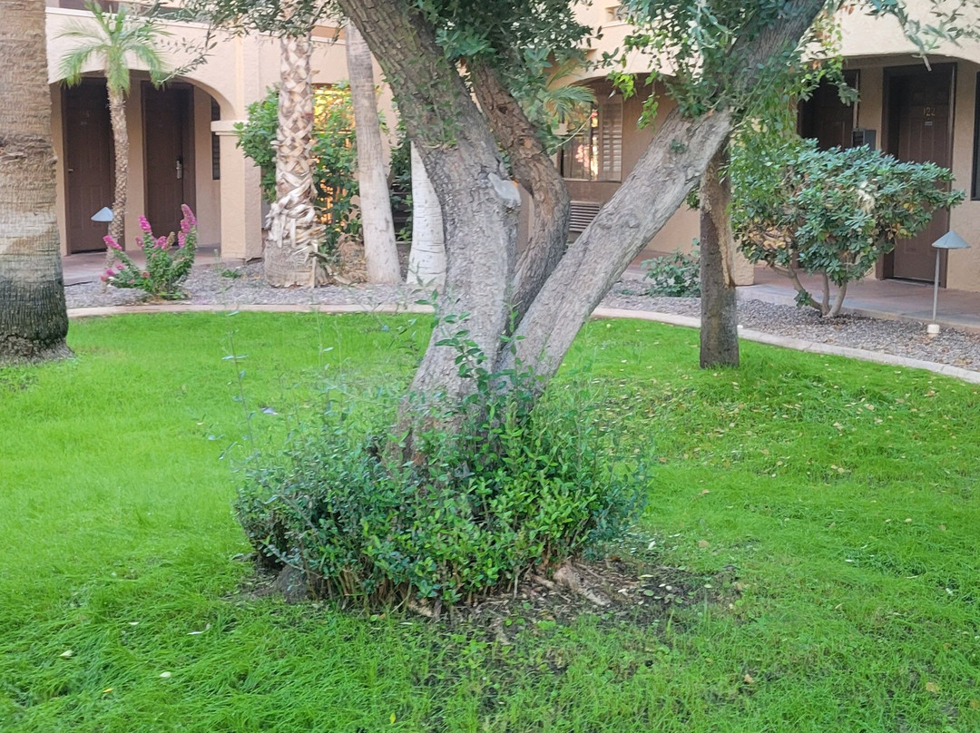 拉丰特旅馆&套房酒店主图