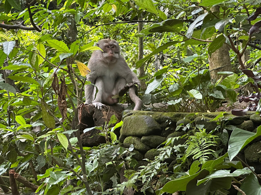 Deka Bali Travel-克隆孔必去景点