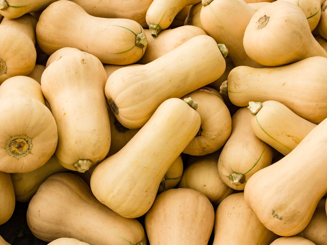 Jota at Royal Isabela