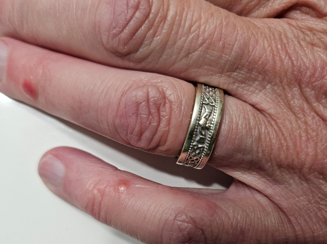 Best Western Lapeer Inn主图