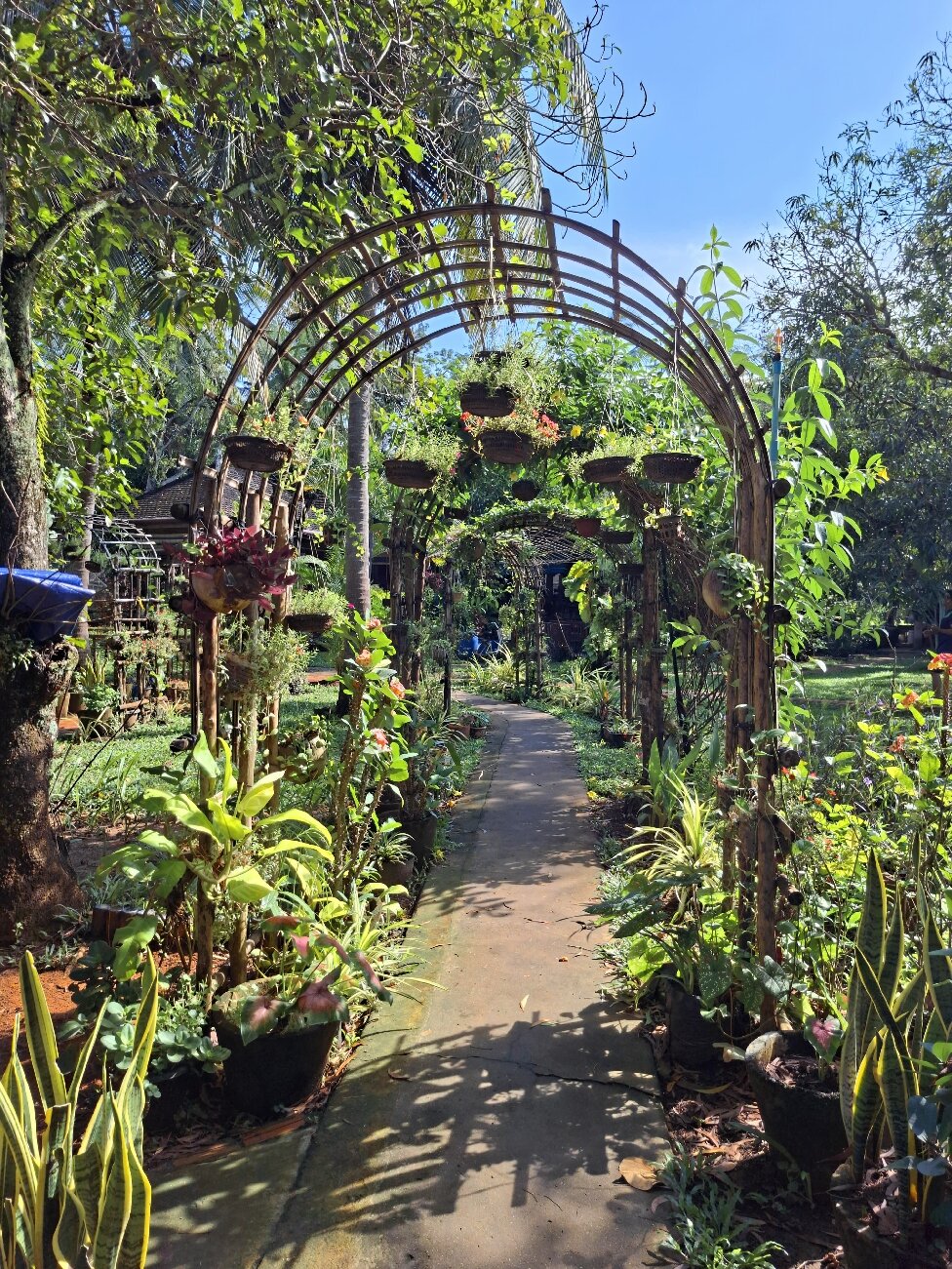 Les Manguiers-官方