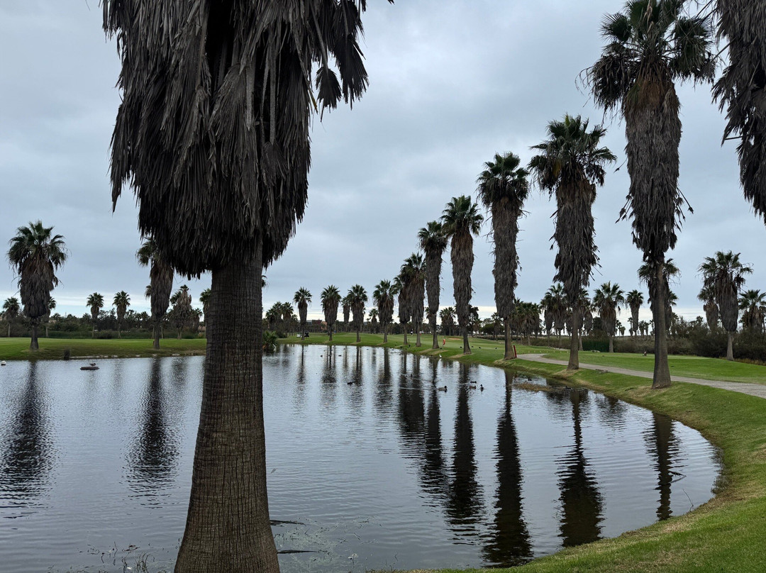 Salgados Golf Club-阿尔布赞拉必去景点