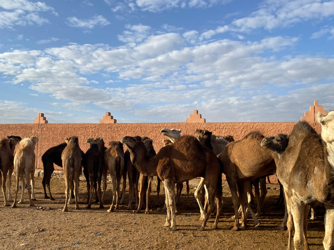 Lowtours-阿加迪尔必去景点
