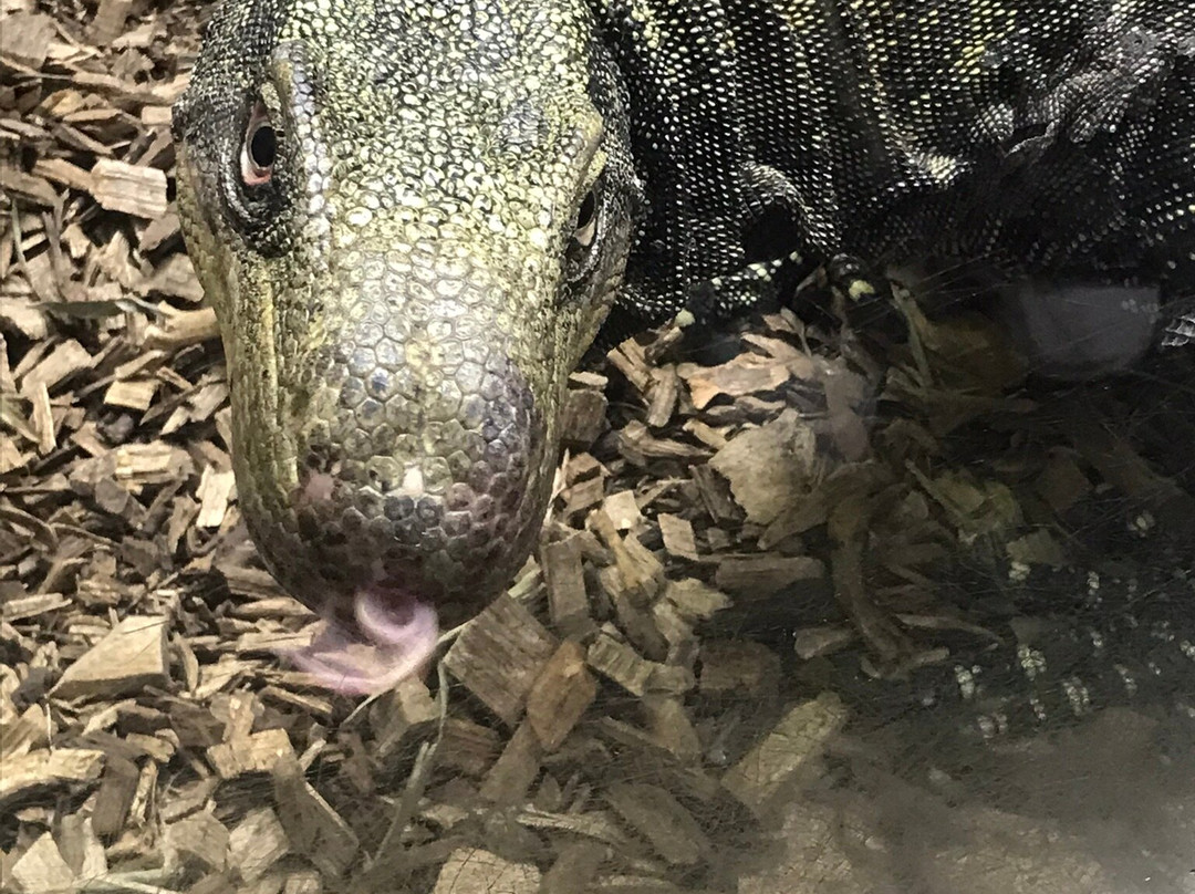 Rainforest Adventures-塞维尔维尔必去景点