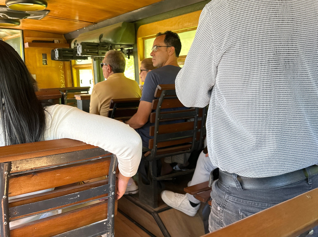 Parque Olivas de Gramado-格拉玛多必去景点