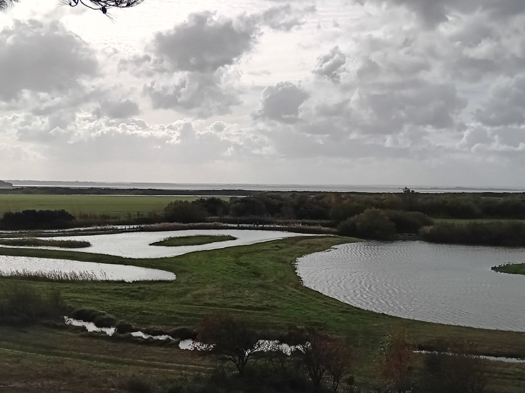 Parc du Marquenterre-Saint-Quentin-en-Tourmont必去景点