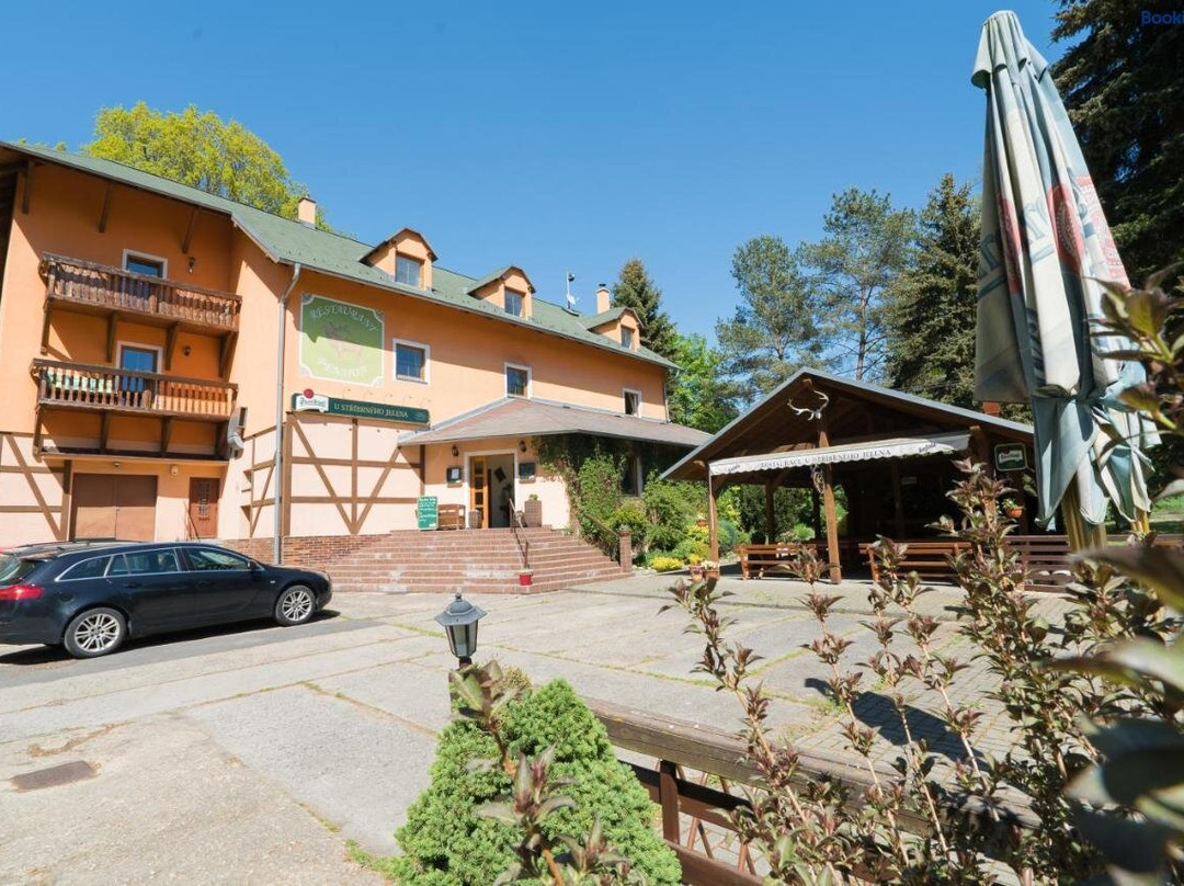 Pension U Stribrneho Jelena主图