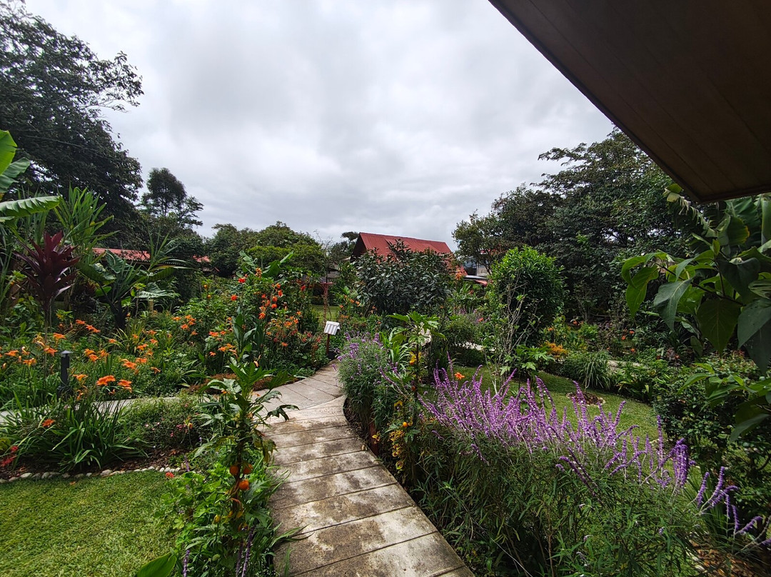 Carolina Egg Gasthaus主图