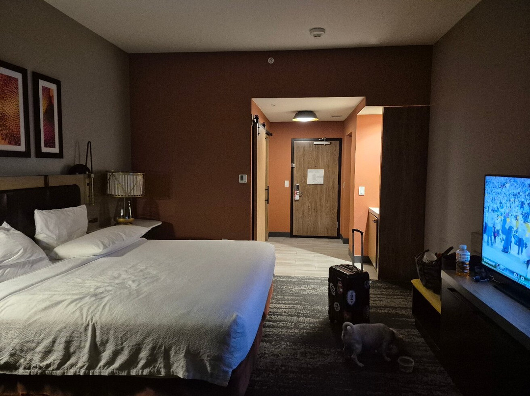 Hilton Garden Inn Hays主图