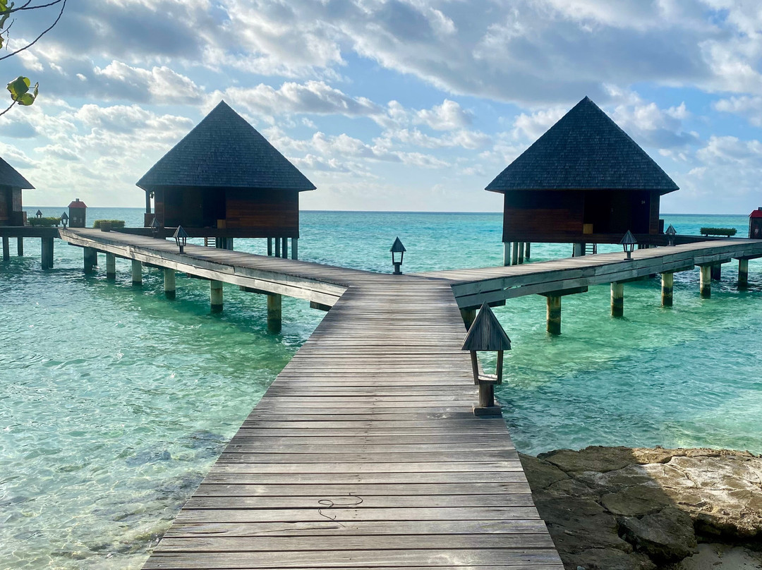 Papa Fish Excursions-乌库拉斯必去景点