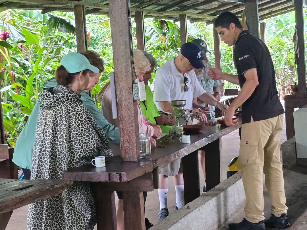 Cafe & Cacao Tour Bijagua-Bijagua de Upala必去景点