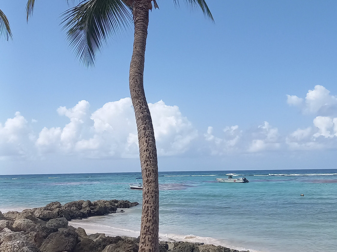Worthing Beach-基督城必去景点