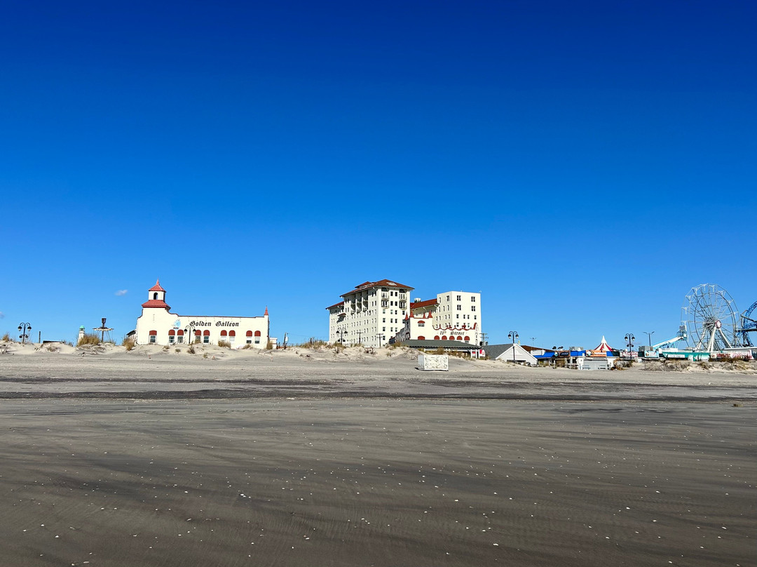 The Flanders Hotel主图