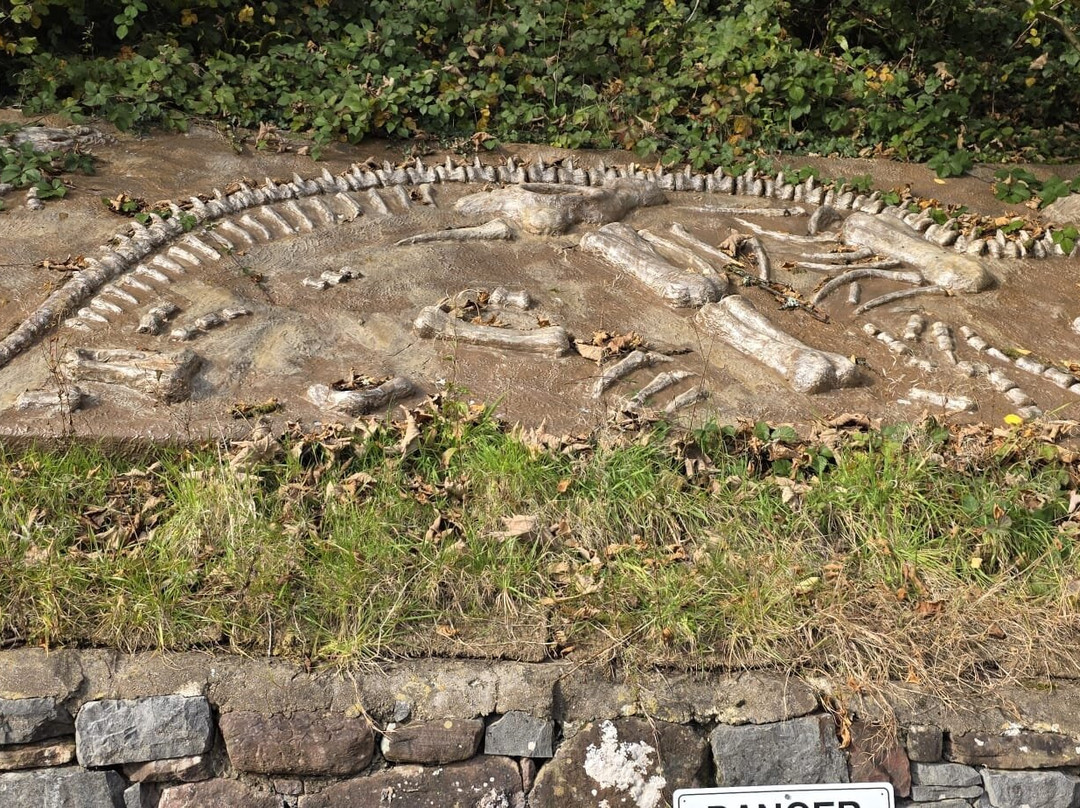 The National Showcaves Centre for Wales-null必去景点
