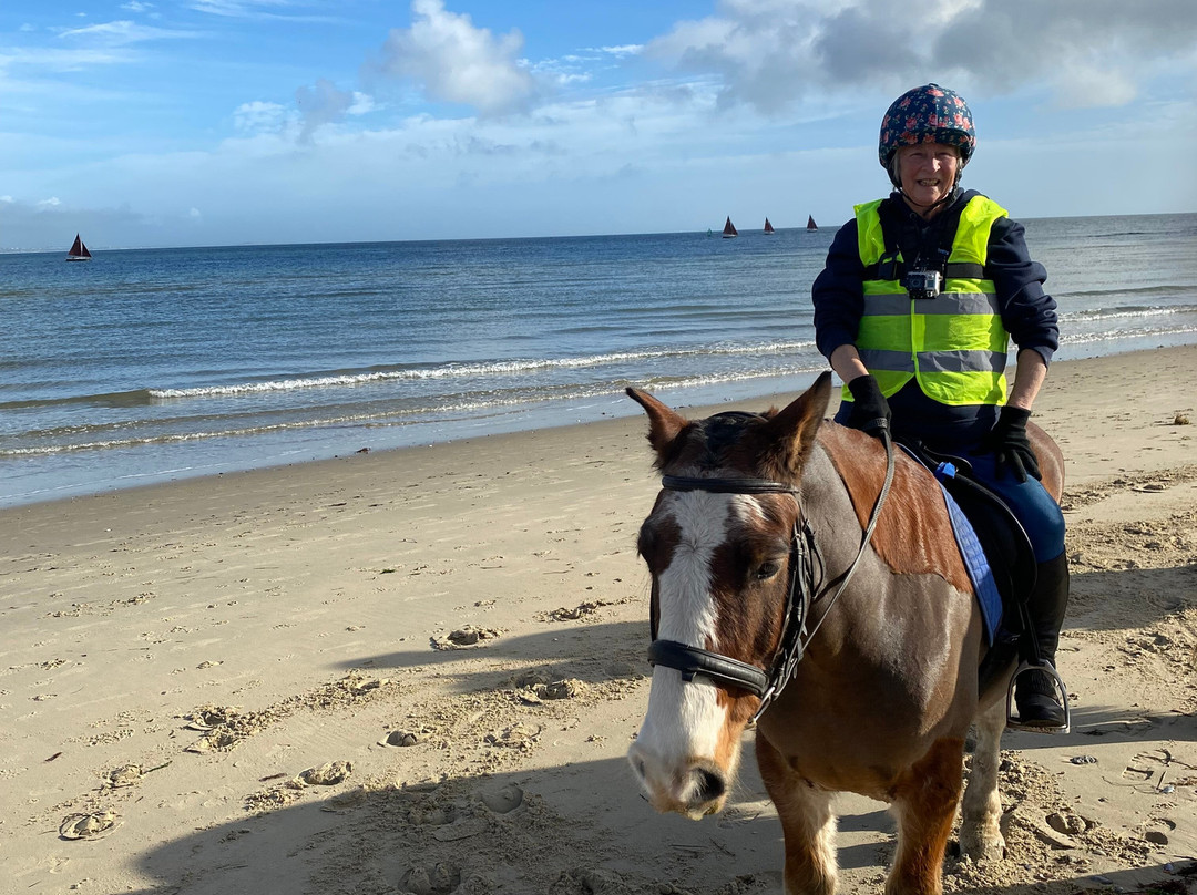 Studland Trekking Centre-Studland必去景点