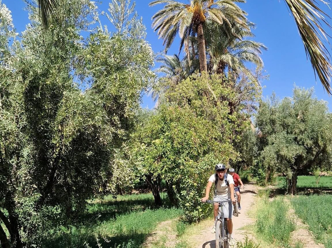 Skoura 360-Skoura必去景点