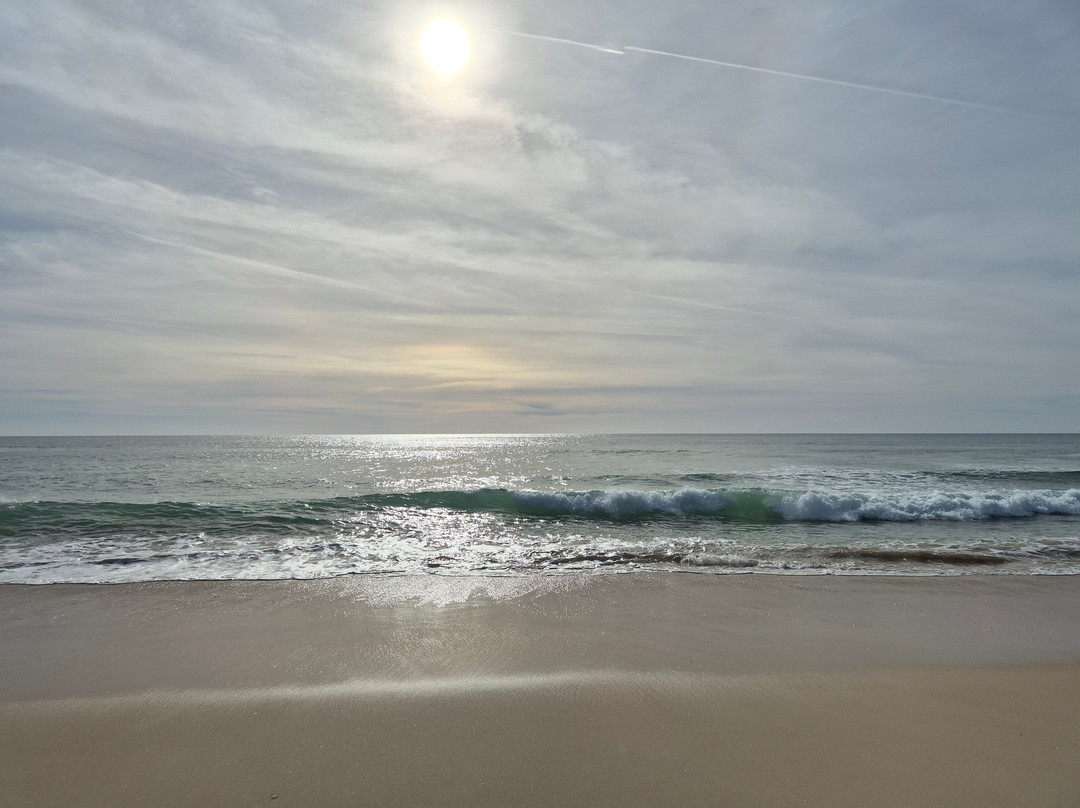 Tavira Island-塔维拉必去景点