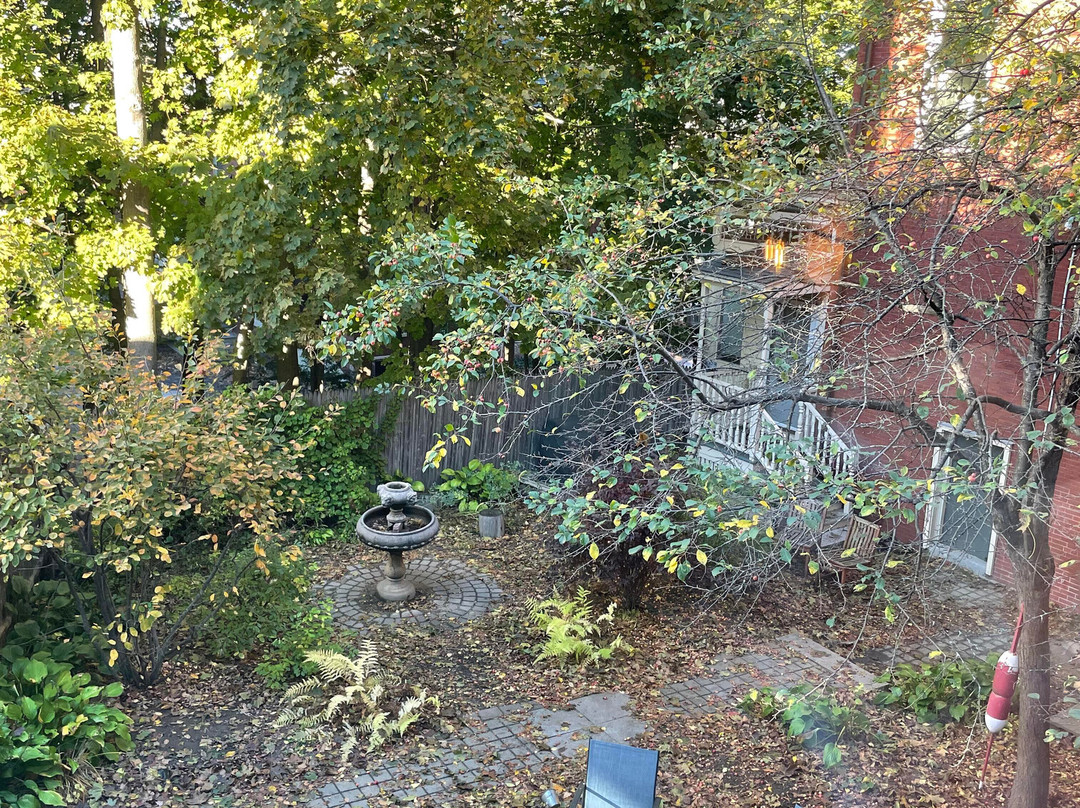 The Francis Hotel主图