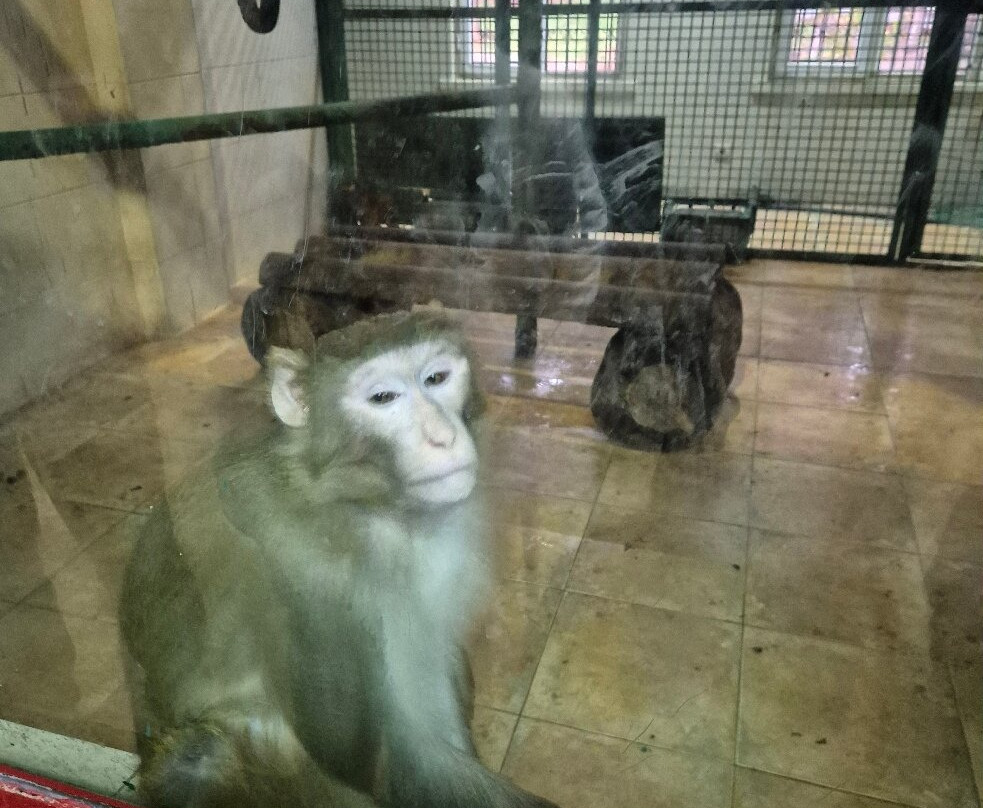 Gaziantep Zoo-加济安泰普必去景点