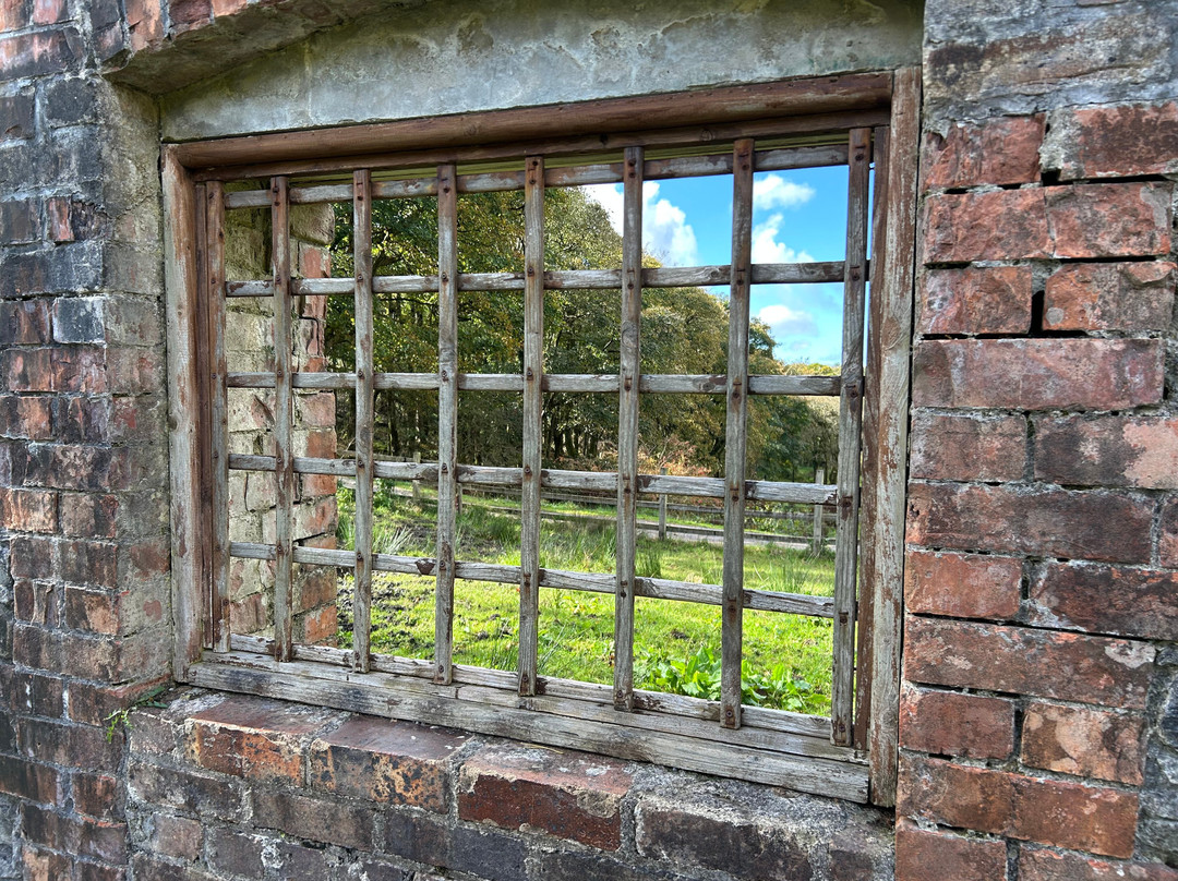 Vagabond Tours-都柏林必去景点
