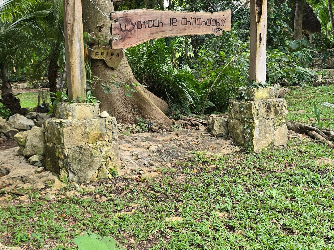 Cenote La Casa De Los Pájaros-Tizimin必去景点