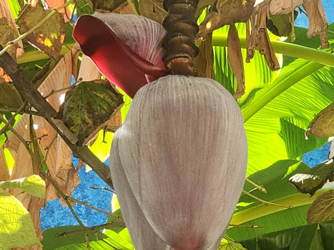 Sarandë-沙兰德必去景点