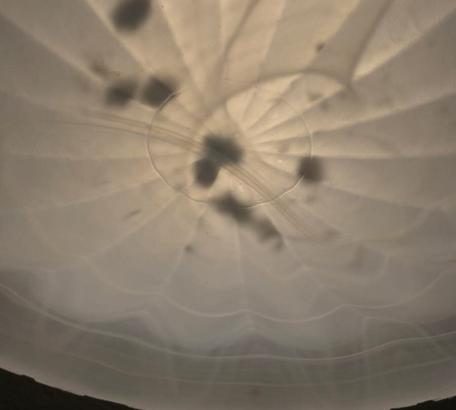 Hotel chalet del lago Avigliana主图