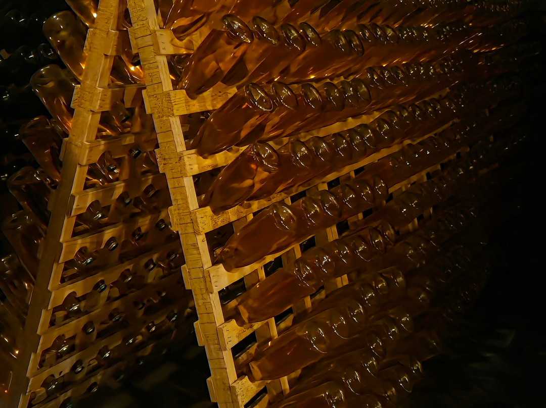 Vinícola Cave De Pedra-本图贡萨尔维斯必去景点