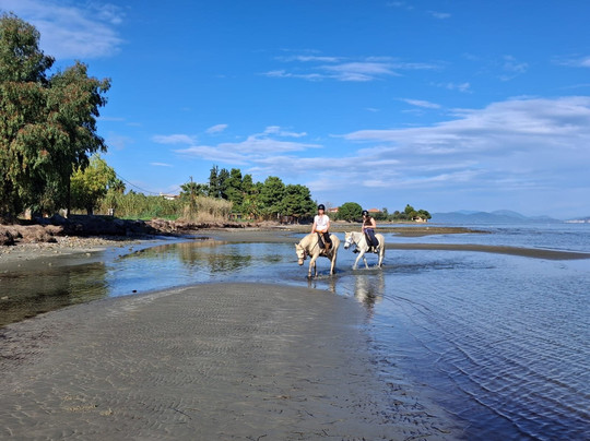 Darko World Horse Riding