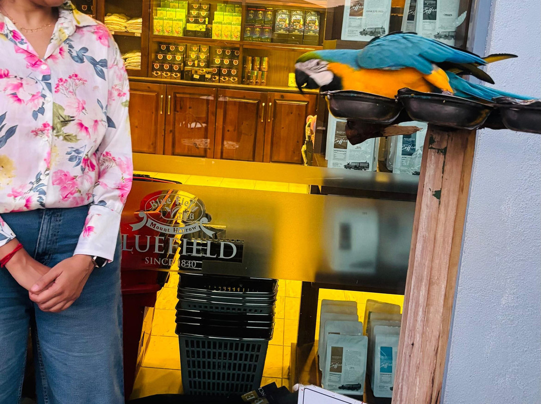 Go Lanka Tours-卡图纳耶克必去景点