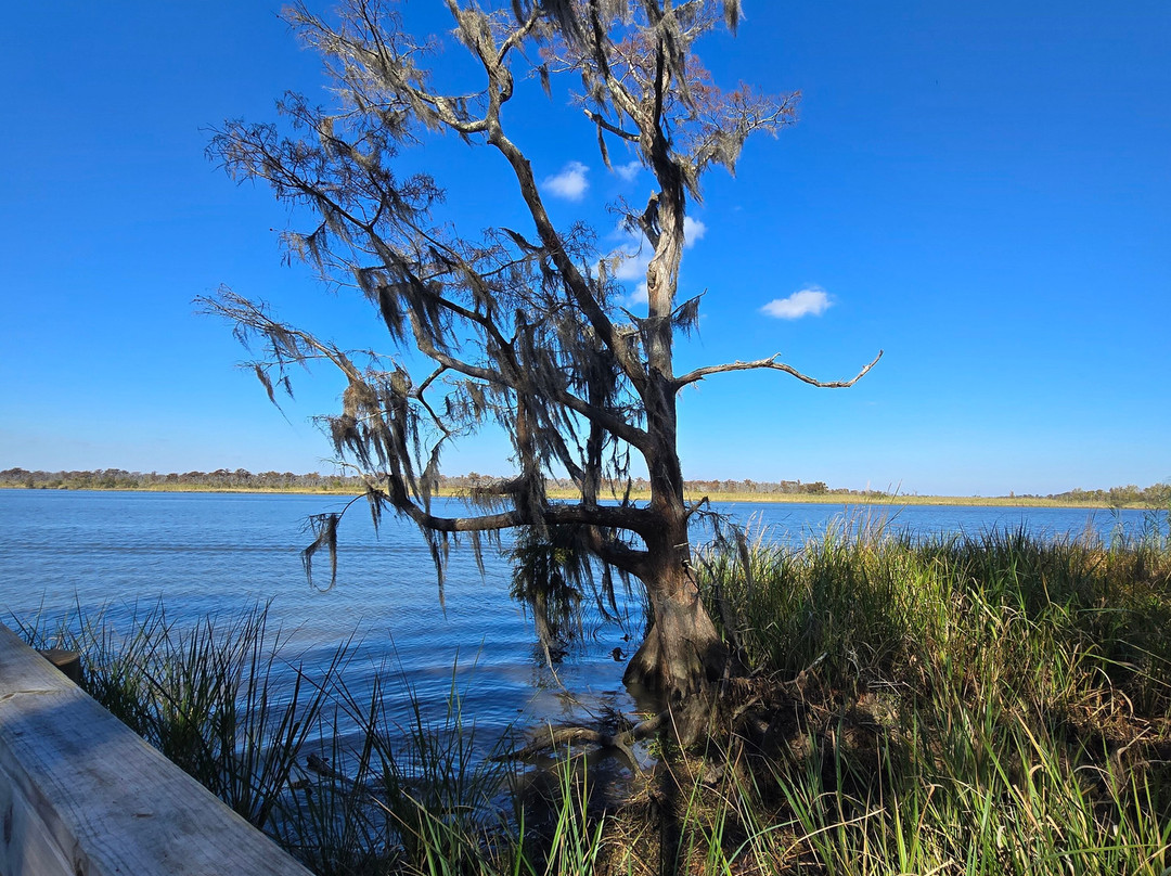Historic Blakeley State Park-Spanish Fort必去景点