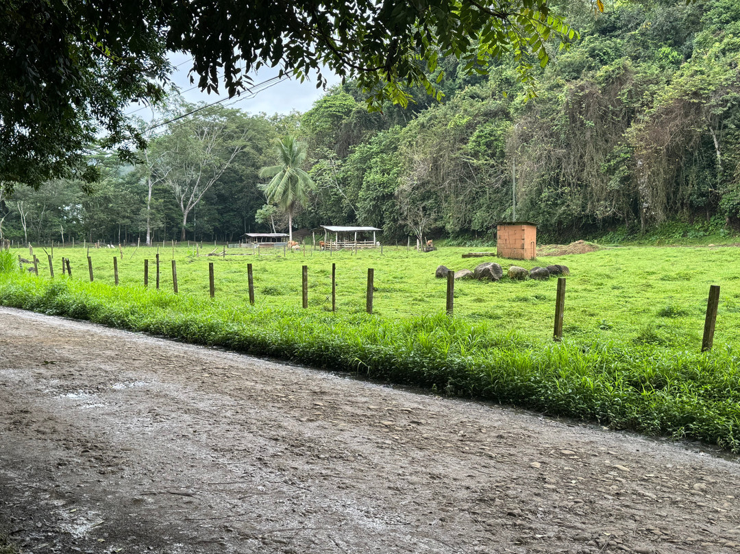 Hotel Rio Lindo主图