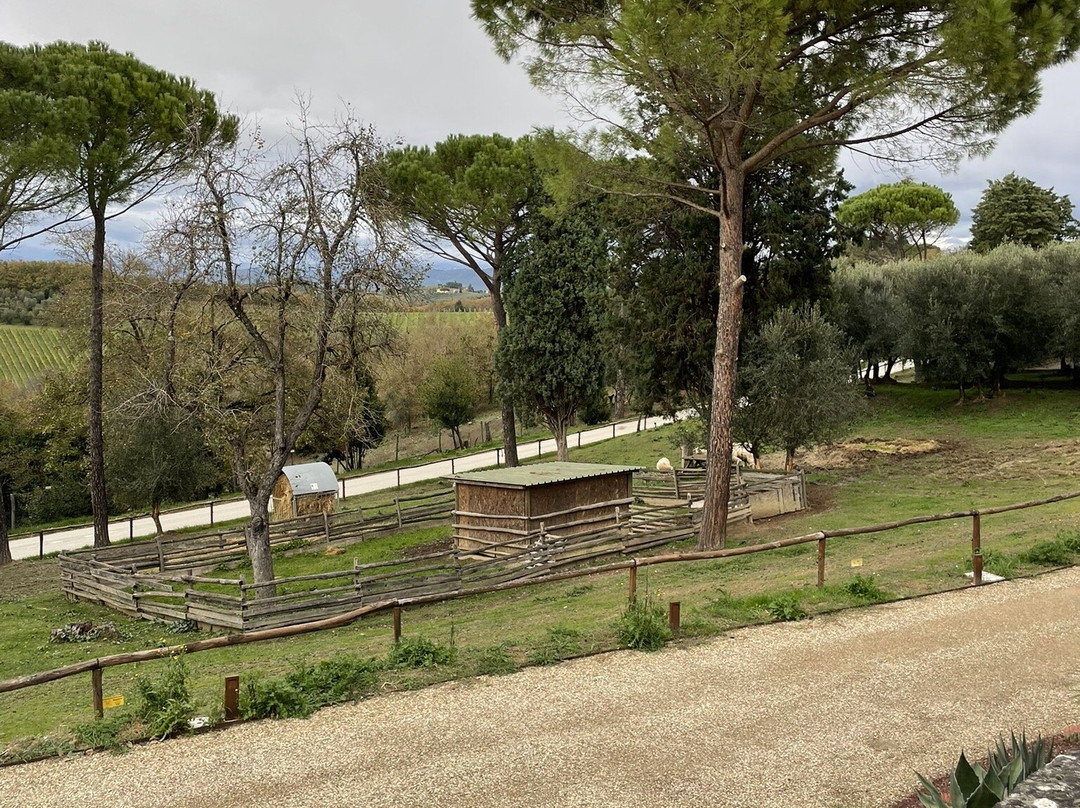 Villa Petriolo主图