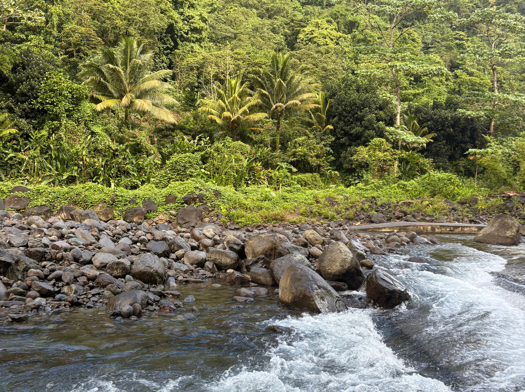 La Cascade Paradis-Vieux-Habitants必去景点