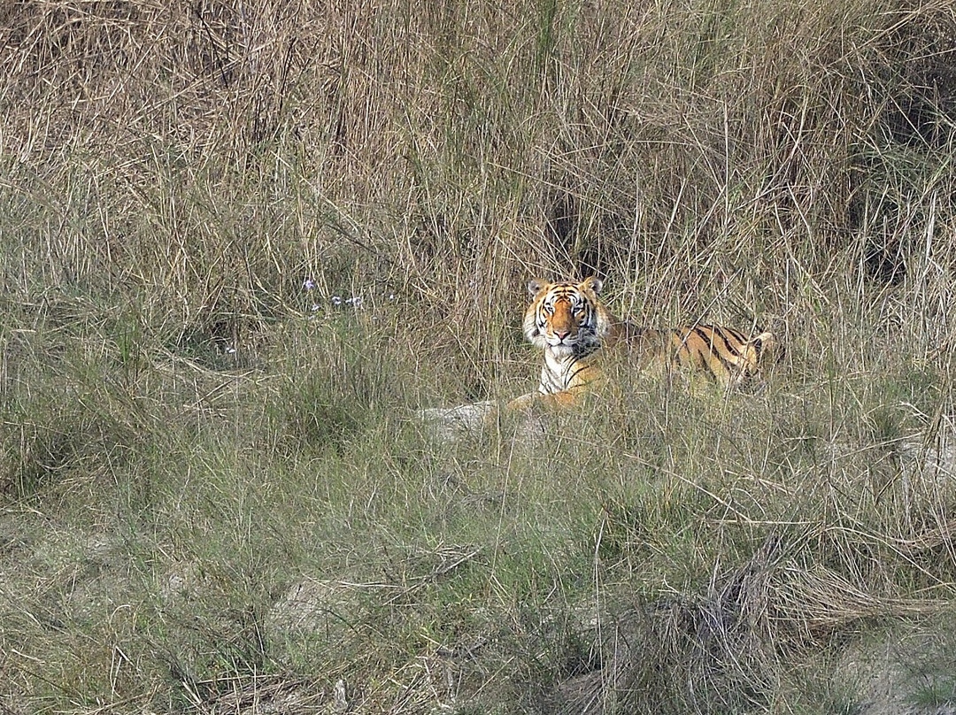 Adventure Safari & Trek-Thakurdwara必去景点