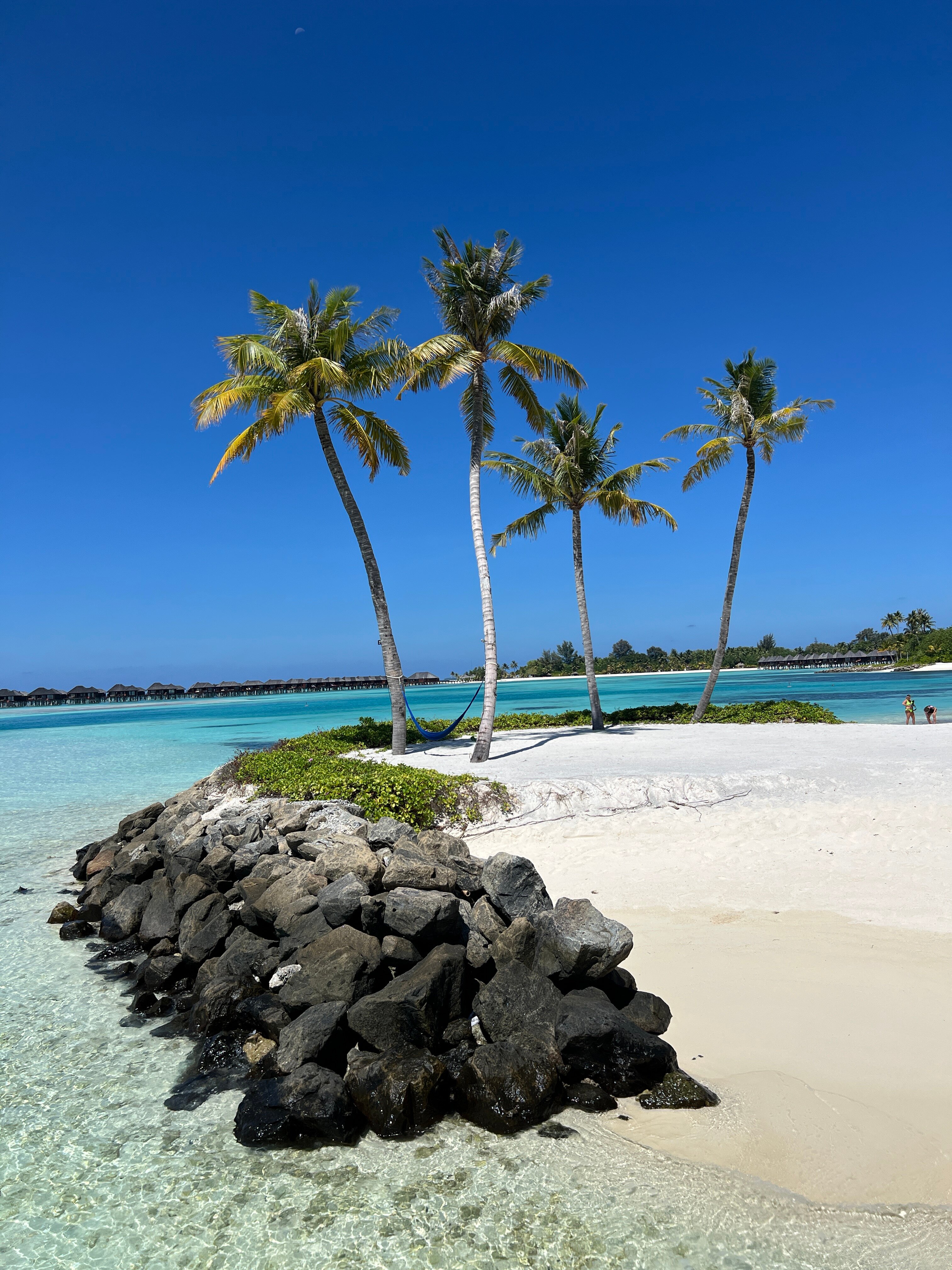 TUI BLUE Olhuveli Romance-泳池