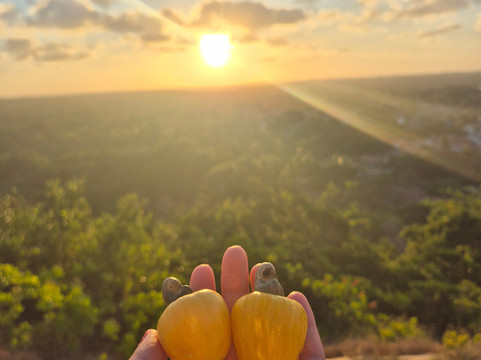 NatalVans Turismo e Locações-Natal必去景点