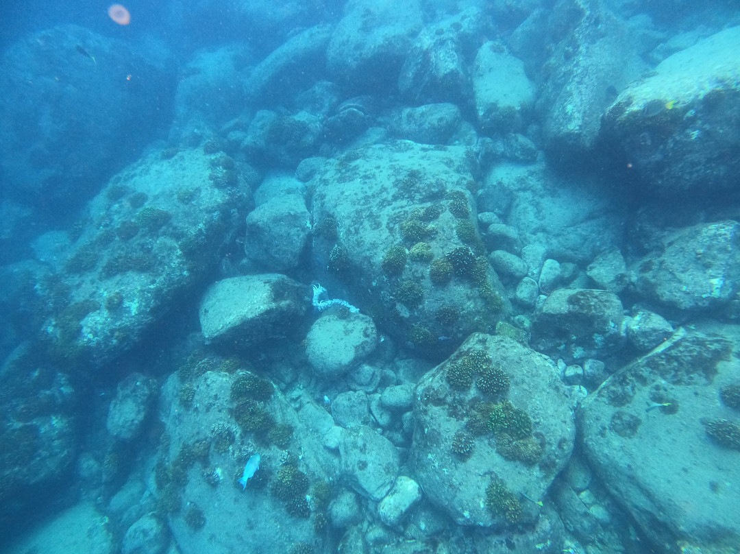 Cabo Pulmo Adventures-Cabo Pulmo必去景点