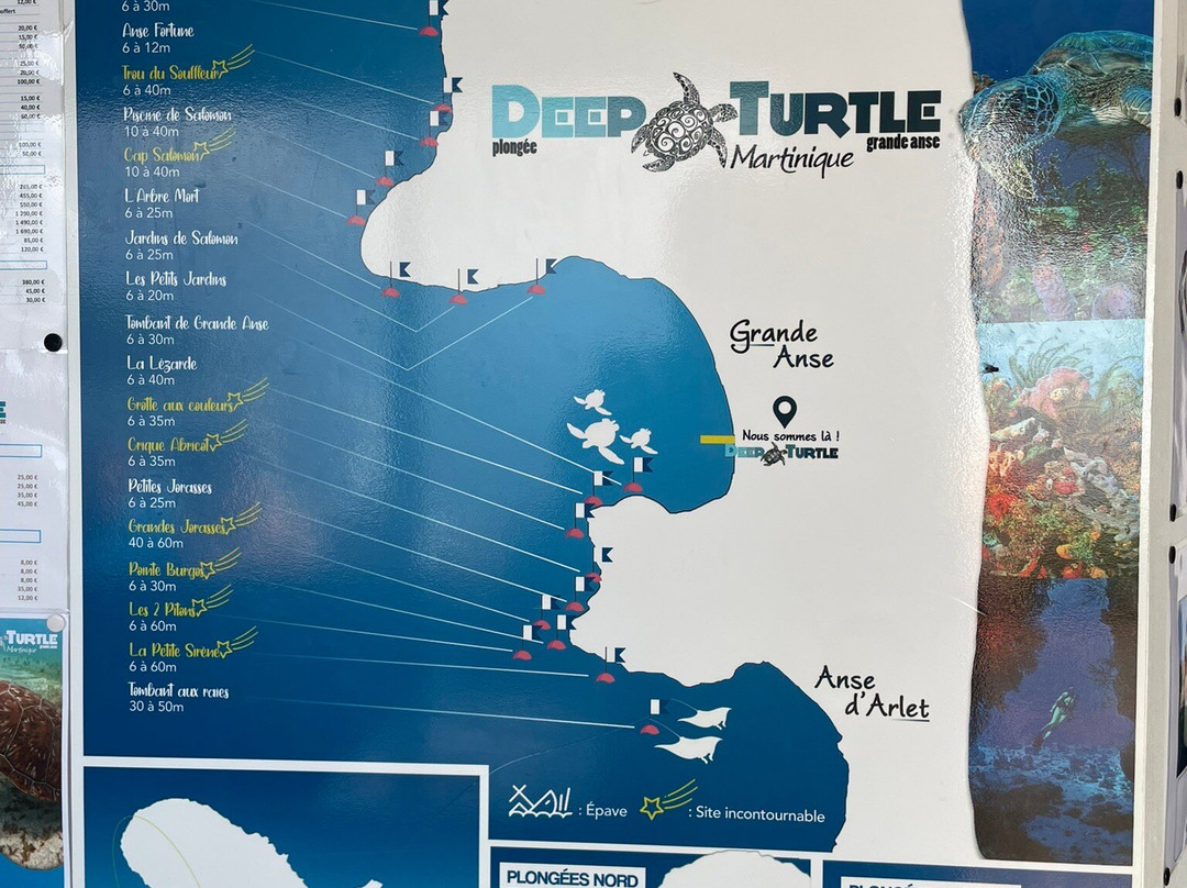 Deep Turtle Plongee-Les Anses d'Arlet必去景点