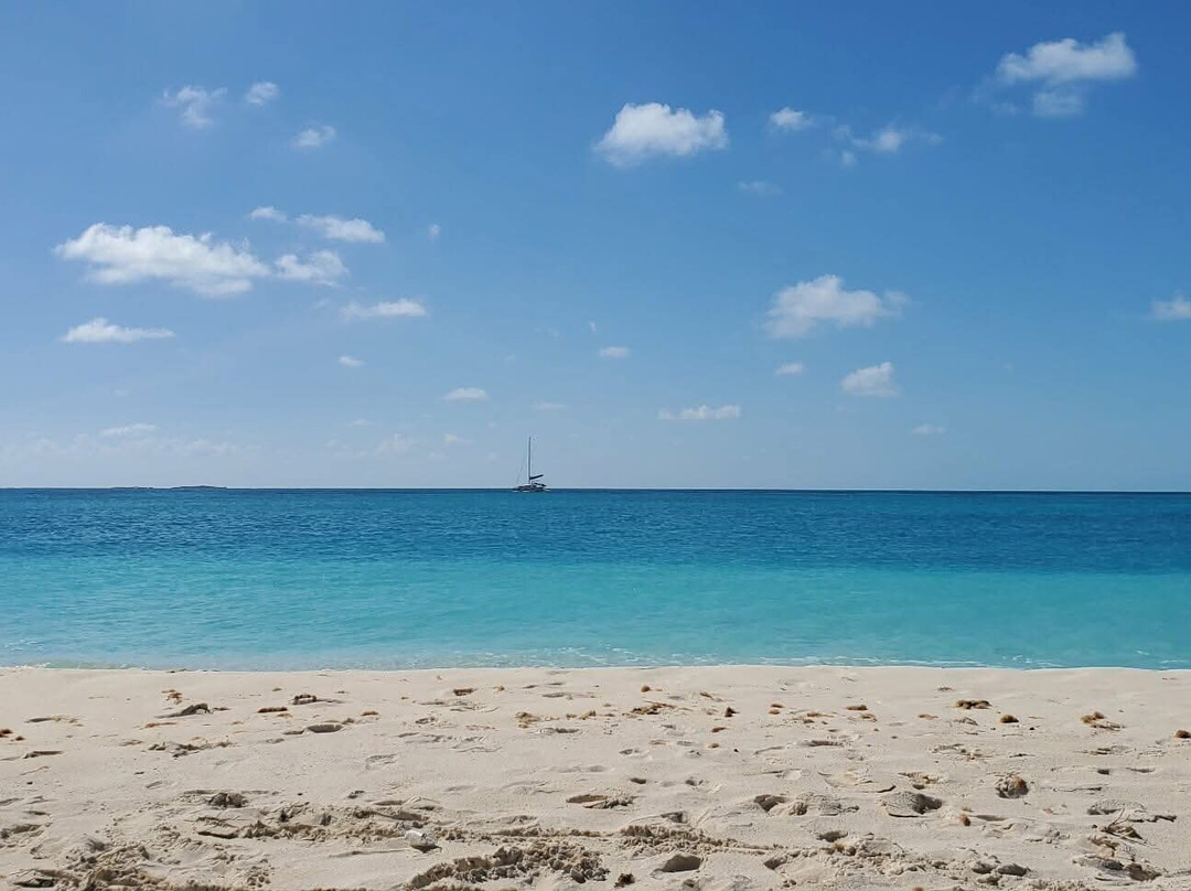 Starfish Cayo Largo主图