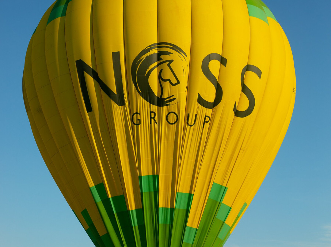 Nyssa Balloon Safaris-Seronera必去景点