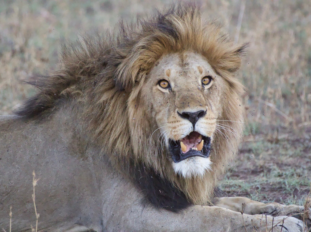 Lune Adventure Ltd-莫西必去景点