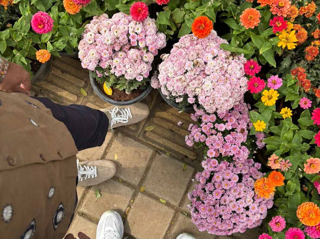 库本公园-班加罗尔必去景点