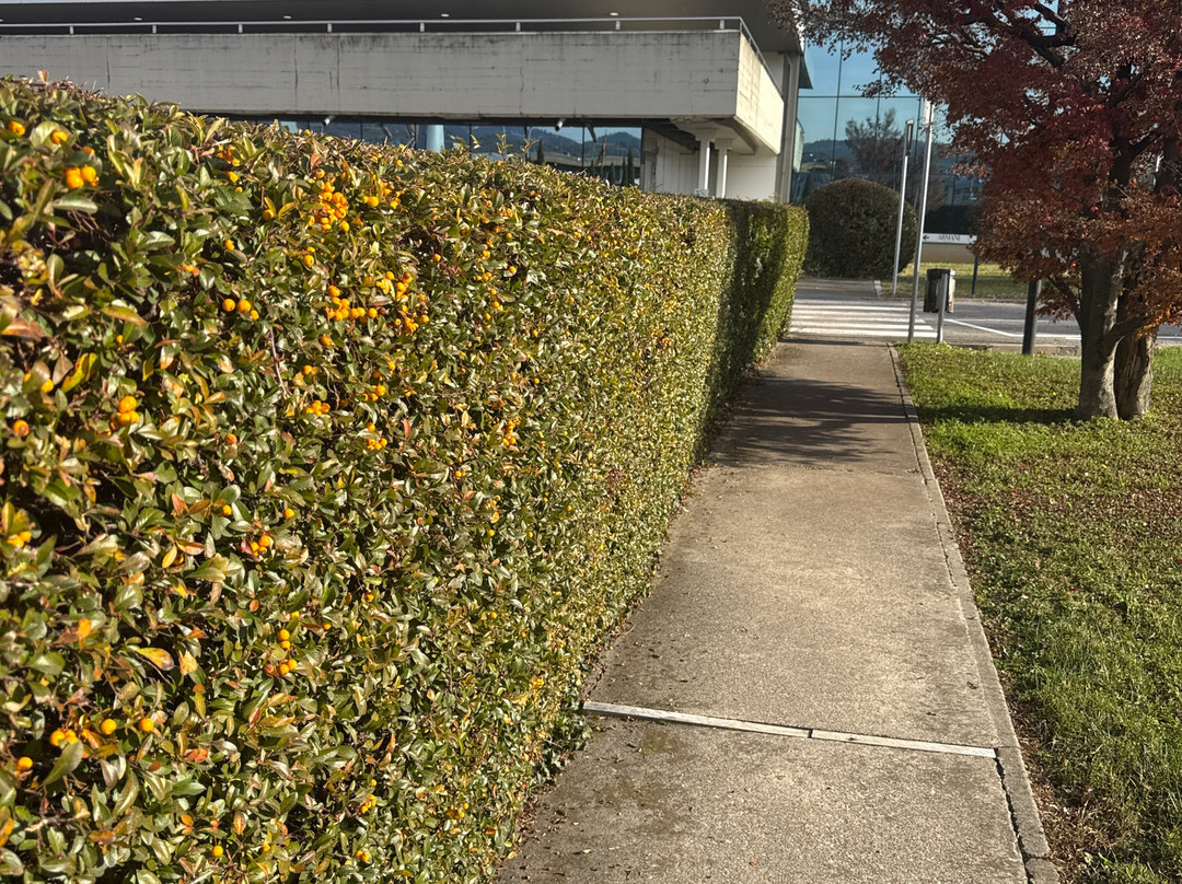 Armani Outlet-Trissino必去景点