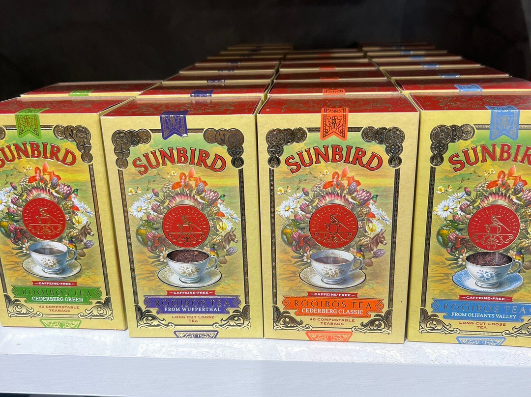 Aafricaa-开普敦中心区必去景点