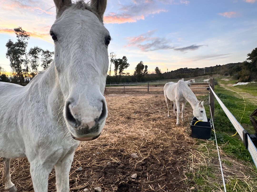 Centro Escursioni Iba Sa Cresia-Muravera必去景点