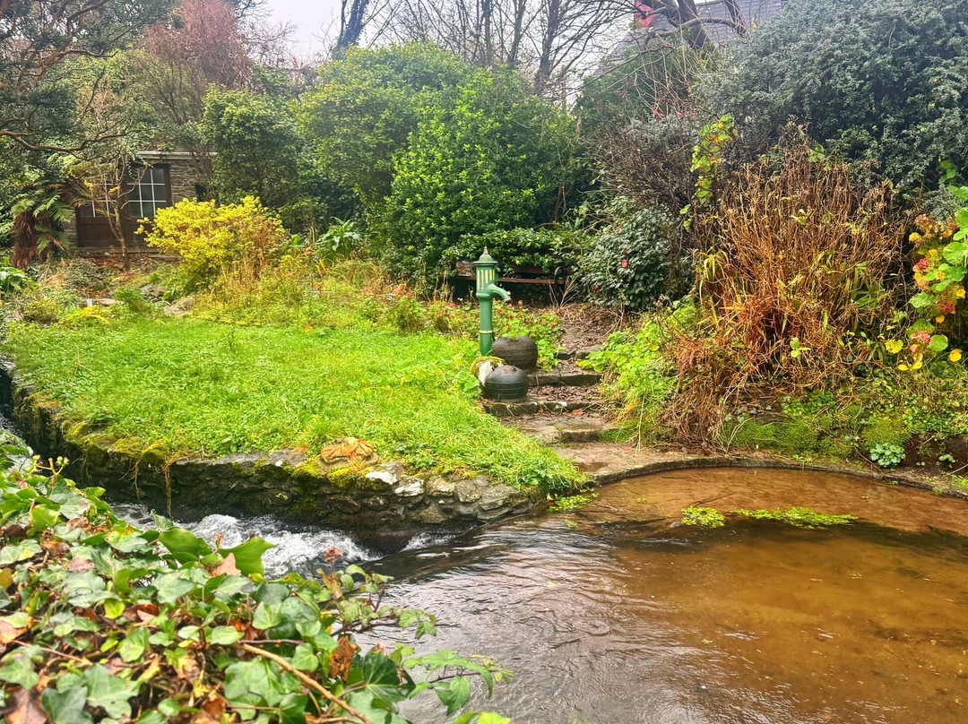 Wolfhound Adventure Tours-Baldoyle必去景点