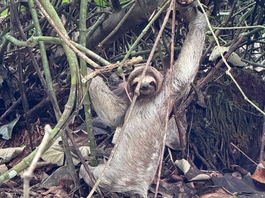 Pablo C-彭塔雷纳斯必去景点